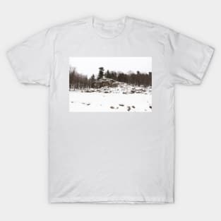 Winter rocks T-Shirt